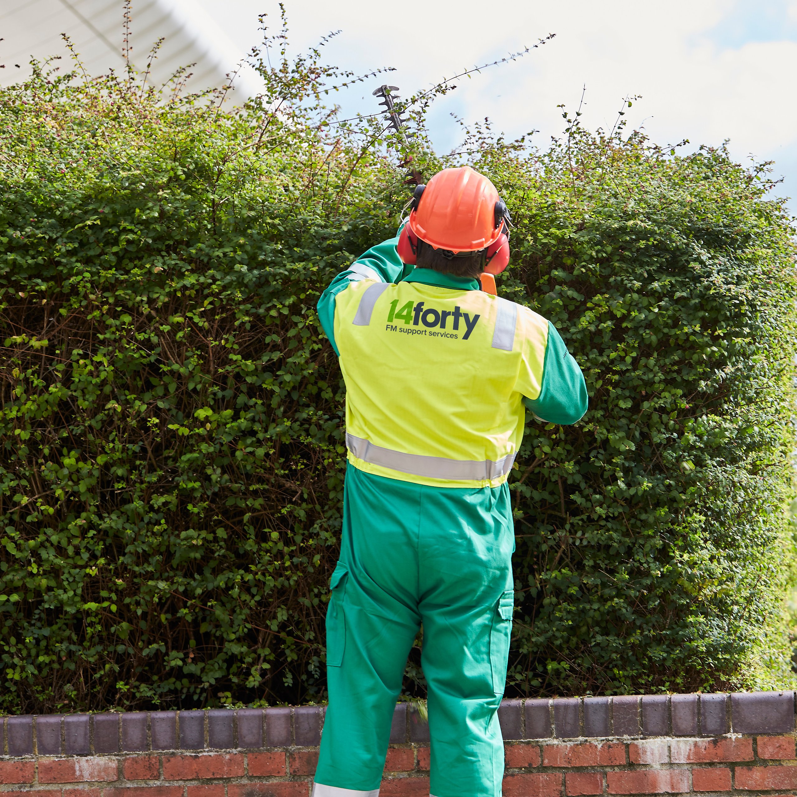 Worker trimming a hedge with power tools, wearing protective gear.