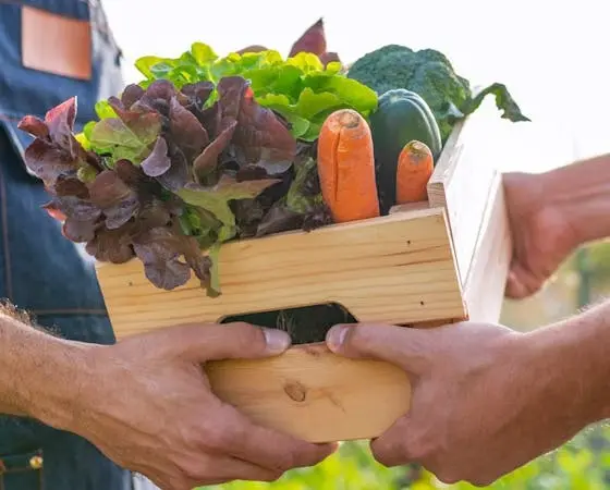 Two people share a wooden crate filled with fresh vegetables including lettuce, carrots, zucchini, and broccoli.